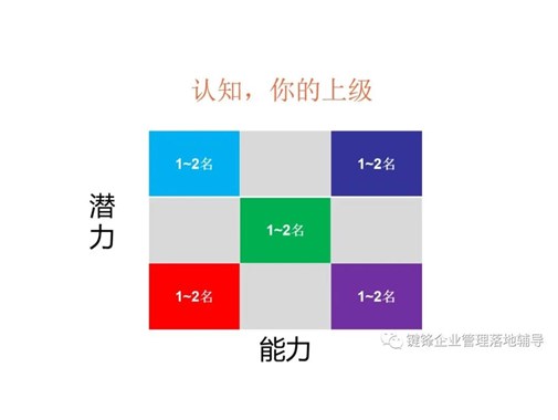 如何運用向上管理與下屬培育？